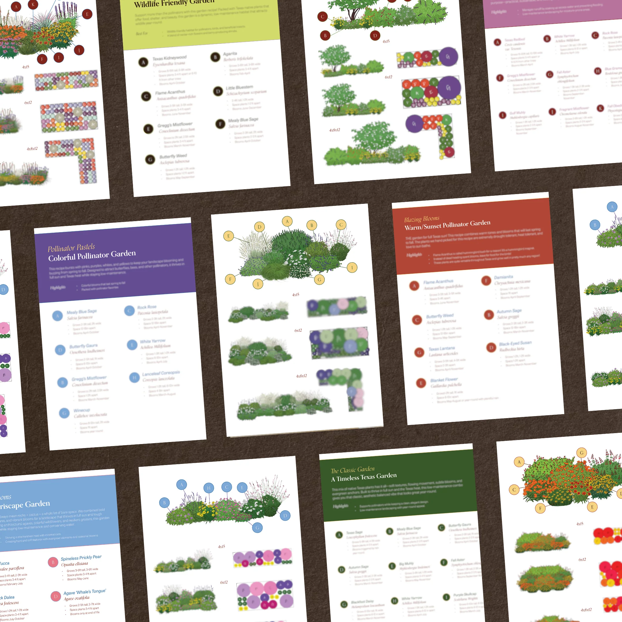 Plant Recipes for Your Native Garden - Image 5