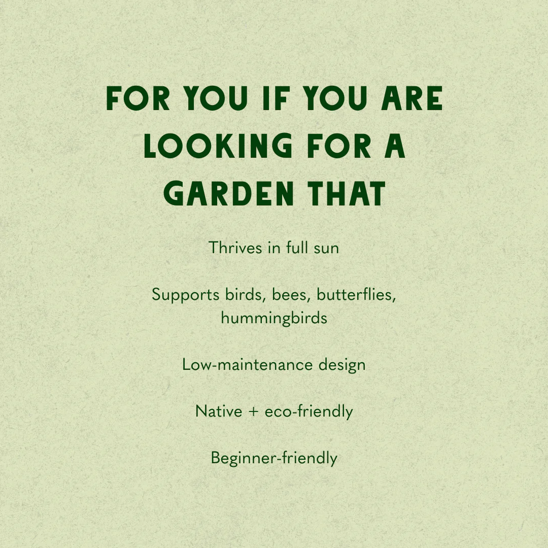 The Classic Garden Design - Image 5