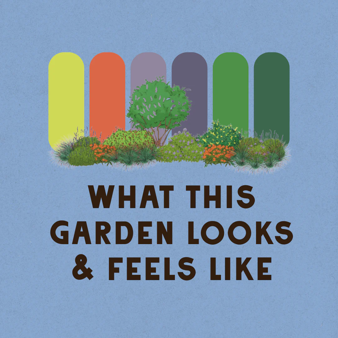 Wildscape Garden Design - Image 3