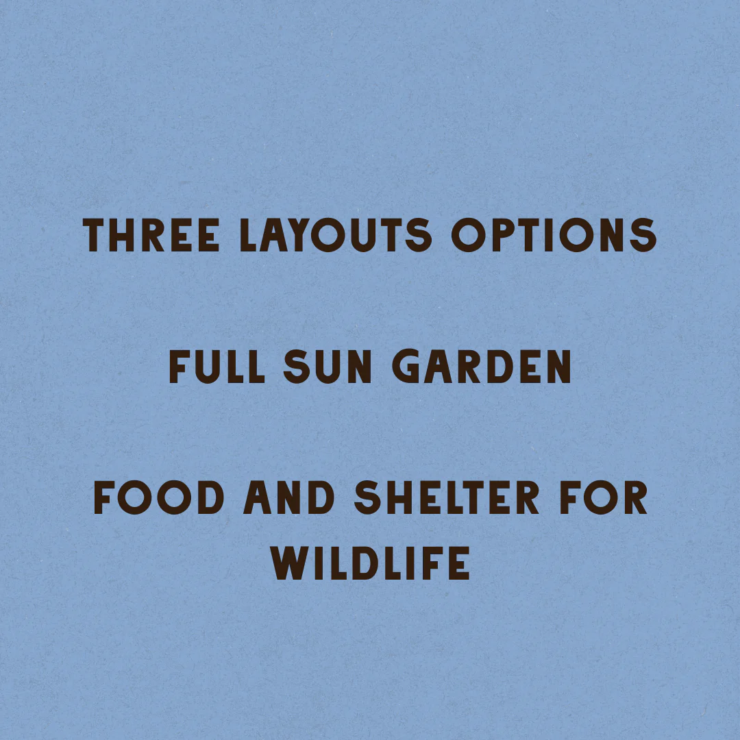 Wildscape Garden Design - Image 4