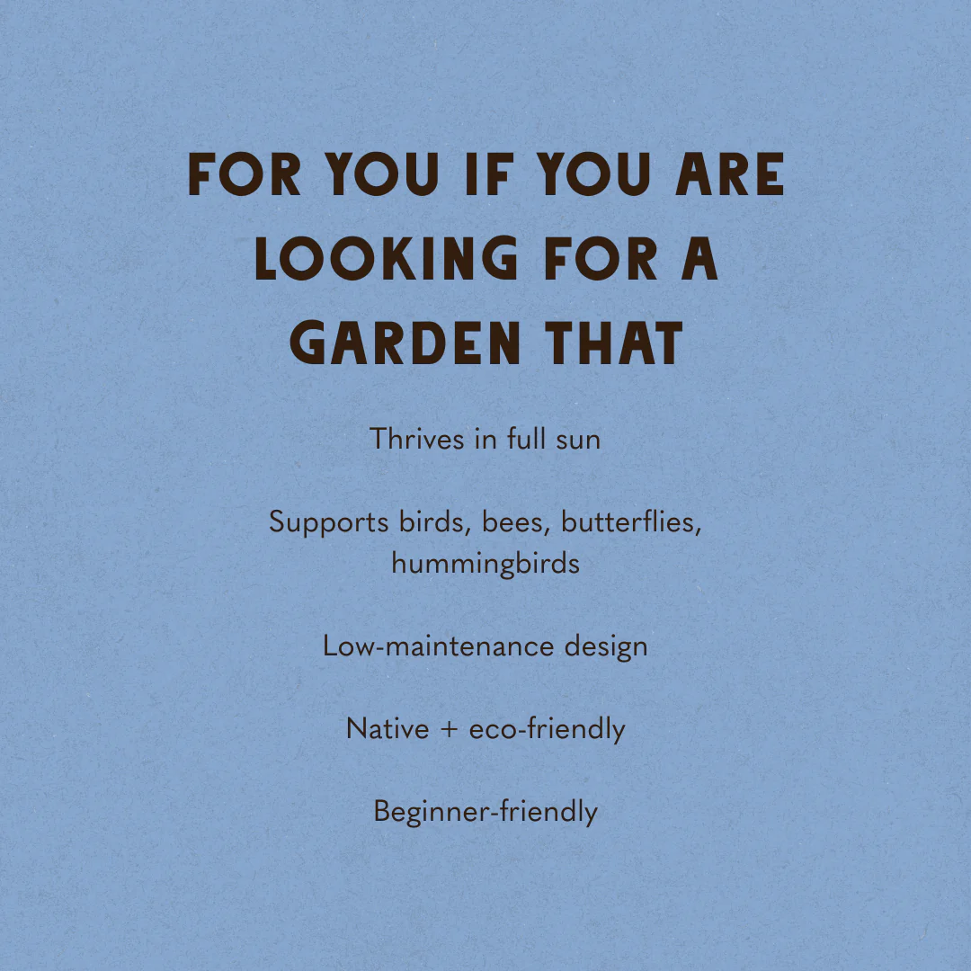 Wildscape Garden Design - Image 5
