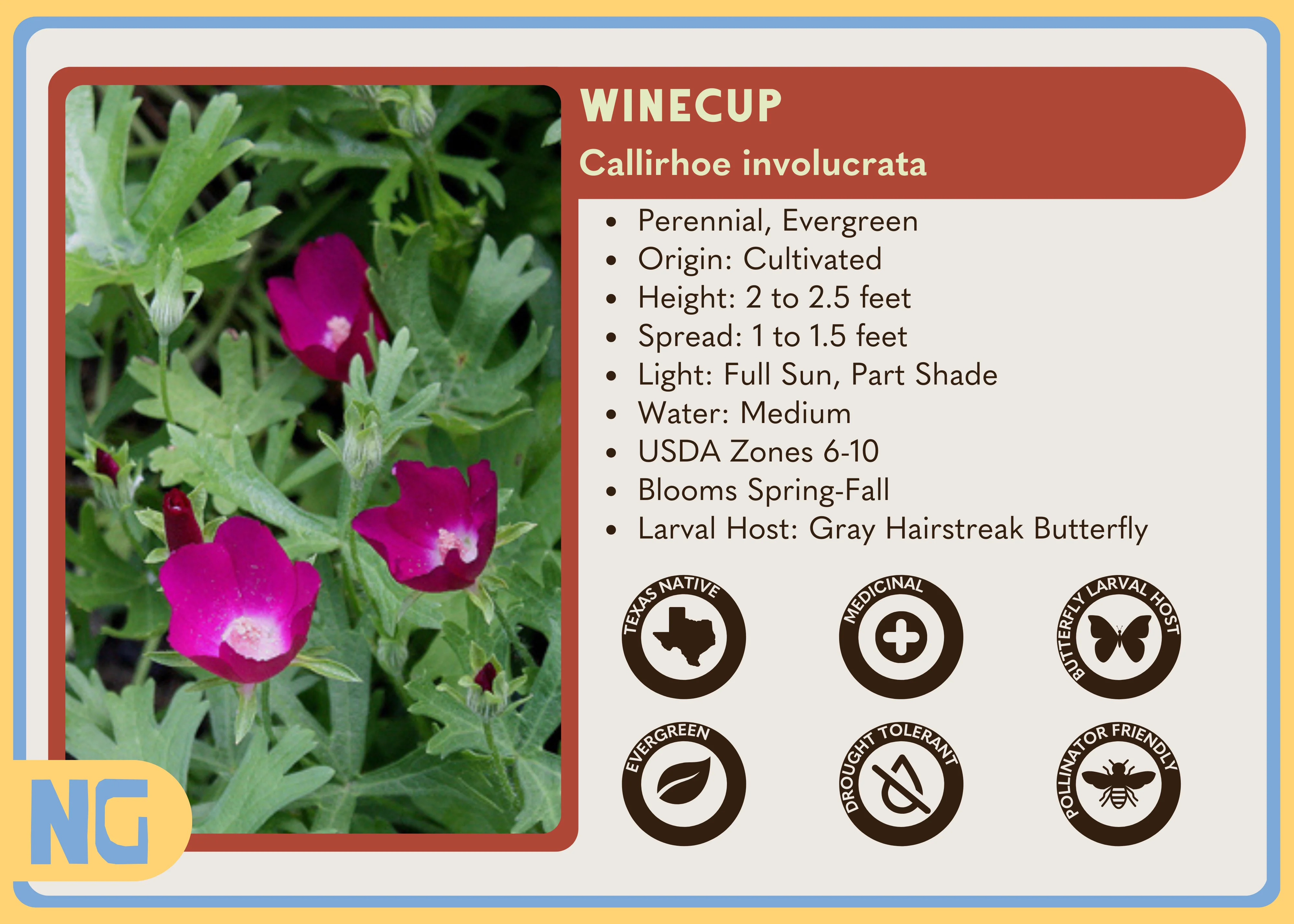 Winecup - Image 5